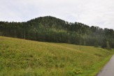 Продается участок сельскохозяйственного назначения  9,3 га  в Чемальском районе Республики Алтай.